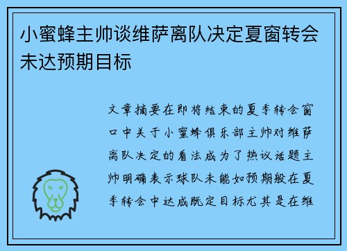 小蜜蜂主帅谈维萨离队决定夏窗转会未达预期目标