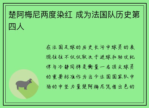 楚阿梅尼两度染红 成为法国队历史第四人